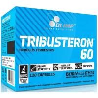 Картинка Трібустерон Olimp Tribusteron 60 від інтернет-магазину спортивного харчування PowerWay
