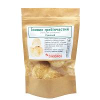 Картинка Їжовик гребінчастий плодове тіло Dikoros від інтернет-магазину спортивного харчування PowerWay