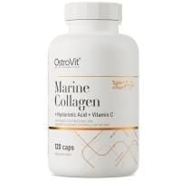 Картинка Морський колаген OstroVit - Marine Collagen + Hyaluronic Acid + Vitamin C від інтернет-магазину спортивного харчування PowerWay