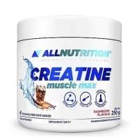 Картинка Креатин Allnutrition Creatine Muscle Max від інтернет-магазину спортивного харчування PowerWay