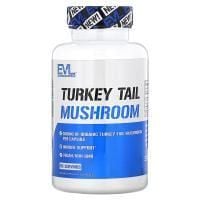 Картинка Трутовик різнокольоровий EVLution Nutrition Turkey Tail Mushroom 500 мг 60 капсул від інтернет-магазину спортивного харчування PowerWay