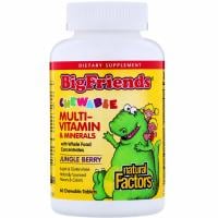 Картинка Мультивітаміни для дітей Natural Factors BigFriends Chewable Multi-Vitamin and Minerals 60 жувальних таблеток від інтернет-магазину спортивного харчування PowerWay