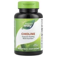 Картинка Холін Nature's Way Choline від інтернет-магазину спортивного харчування PowerWay