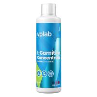 Картинка Л-карнітин VPLab L-Carnitine Concentrate від інтернет-магазину спортивного харчування PowerWay