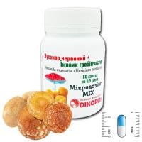 Картинка Мухомор червоний та Їжовик гребінчастий Dikoros Amanita muscaria and Hericium erinaceus мікродозинг від інтернет-магазину спортивного харчування PowerWay