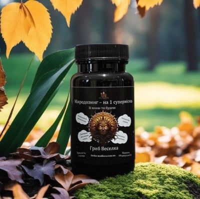 Картинка Гриб Веселка Лавка Мольфара від інтернет-магазину спортивного харчування PowerWay