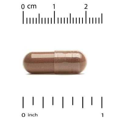 Картинка Екстракт родіоли California Gold Nutrition Rhodiola Extract 500 мг від інтернет-магазину спортивного харчування PowerWay